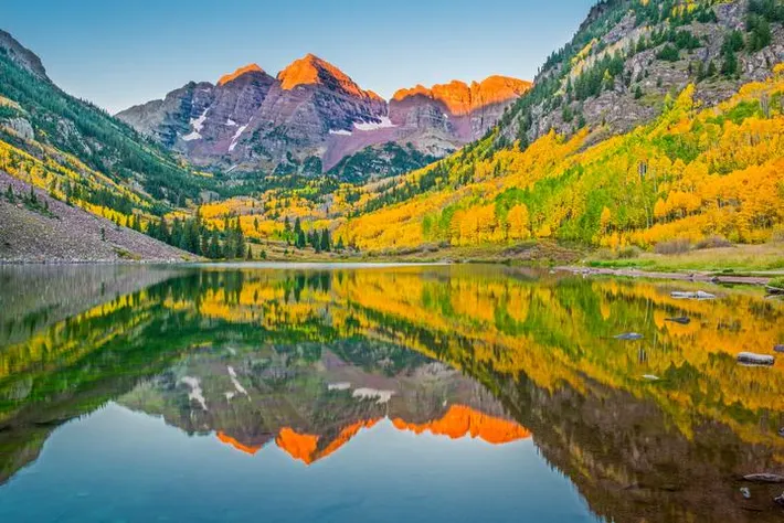 Aspen trees turning golden in Aspen, Colorado