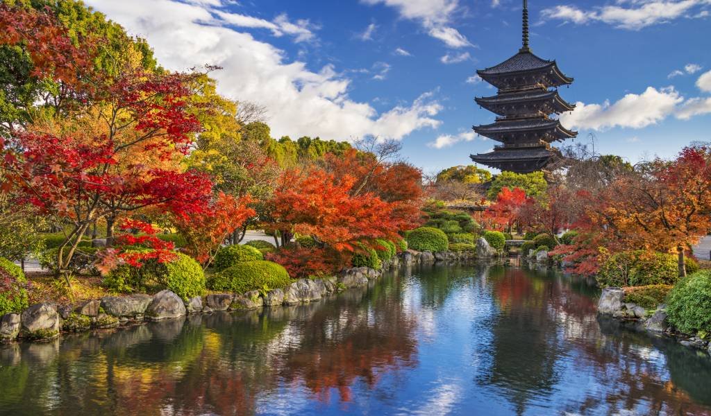 Autumn leaves surrounding temples in Kyoto, Japan